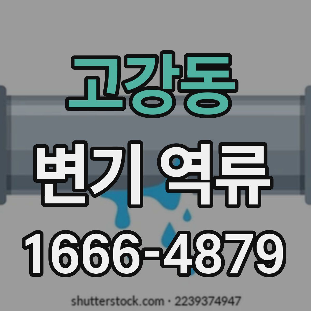 고강동 변기 역류