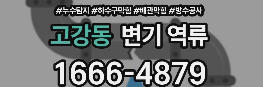 고강동 변기 역류