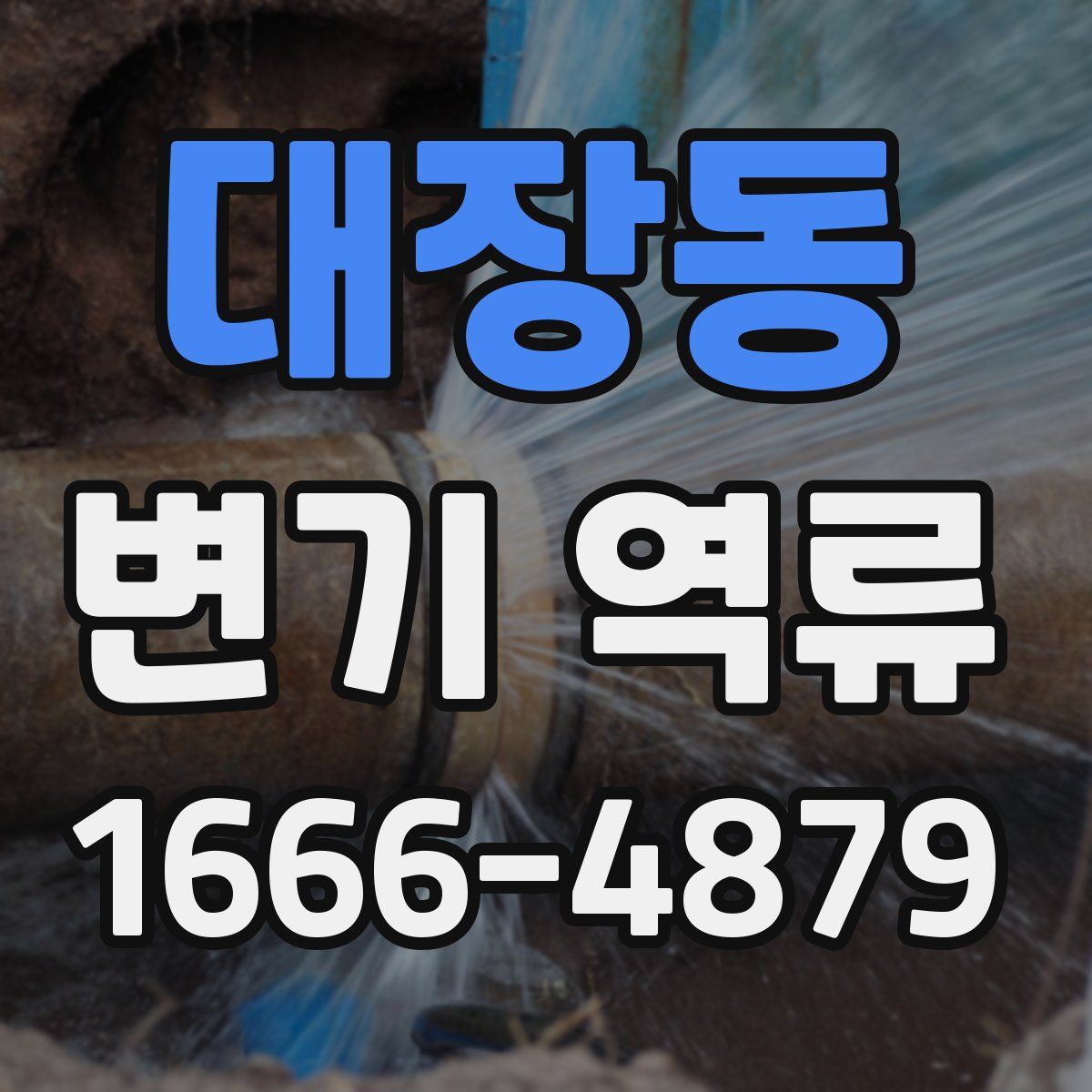 대장동 변기 역류