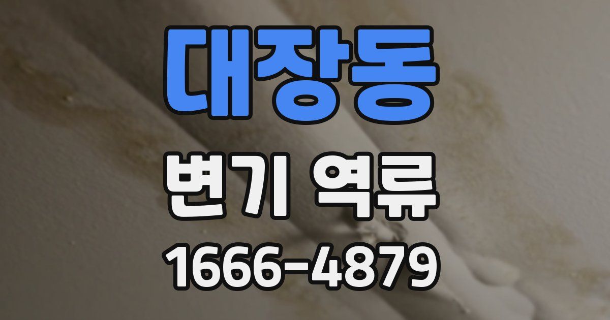 대장동 변기 역류