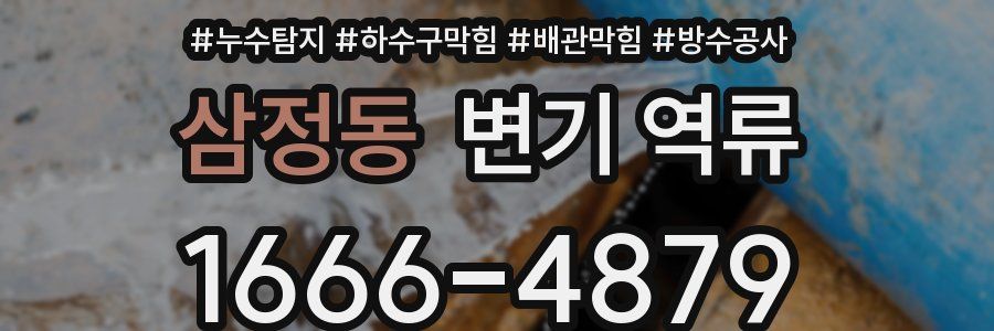 삼정동 변기 역류