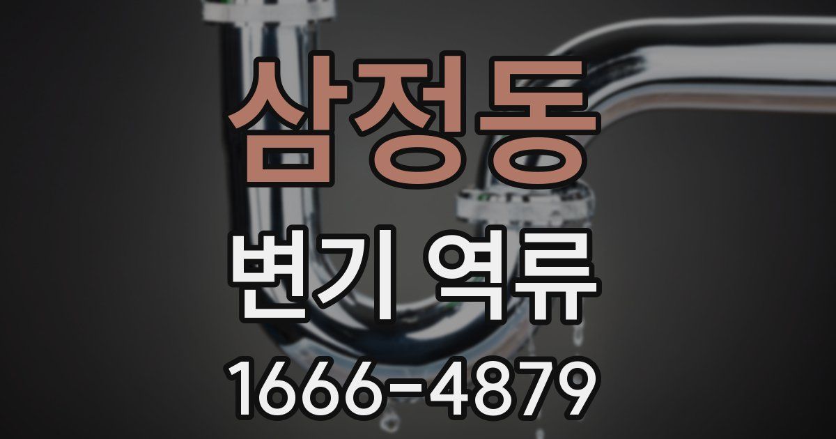 삼정동 변기 역류