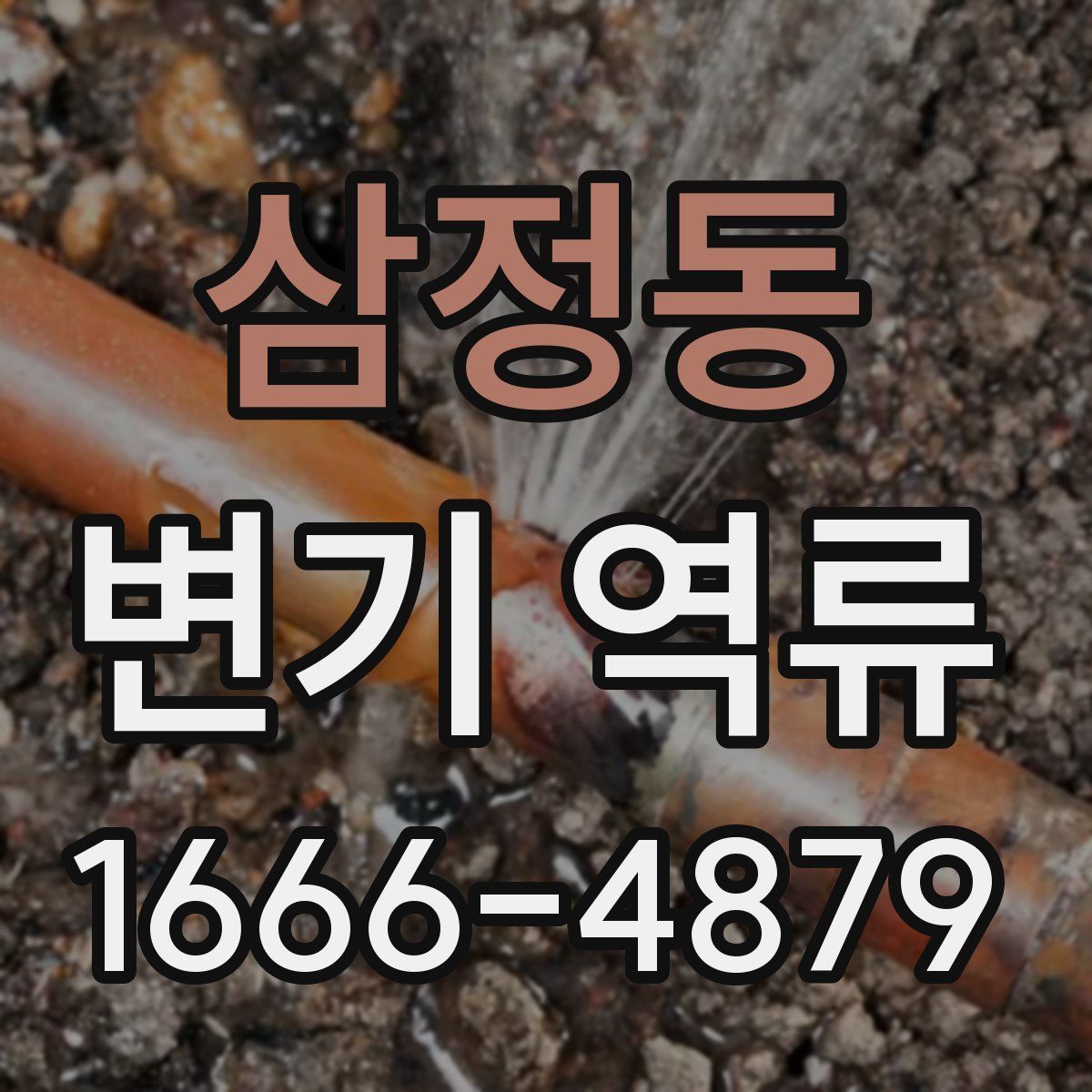 삼정동 변기 역류