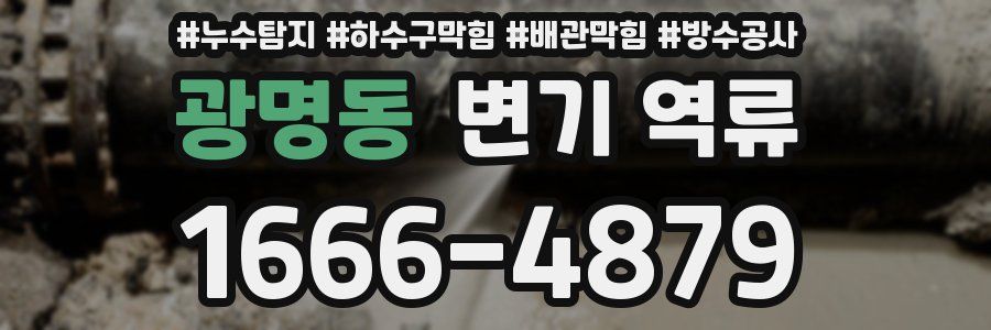 광명동 변기 역류