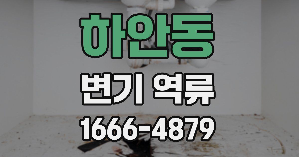 하안동 변기 역류