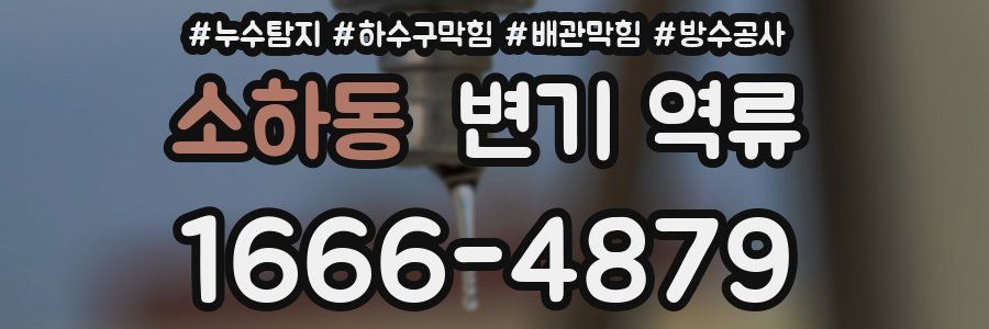 소하동 변기 역류