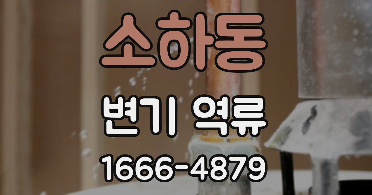 소하동 변기 역류