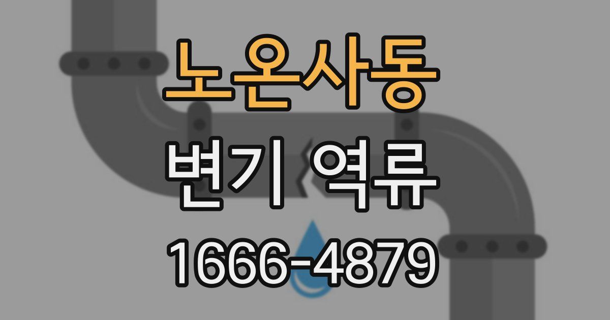 노온사동 변기 역류