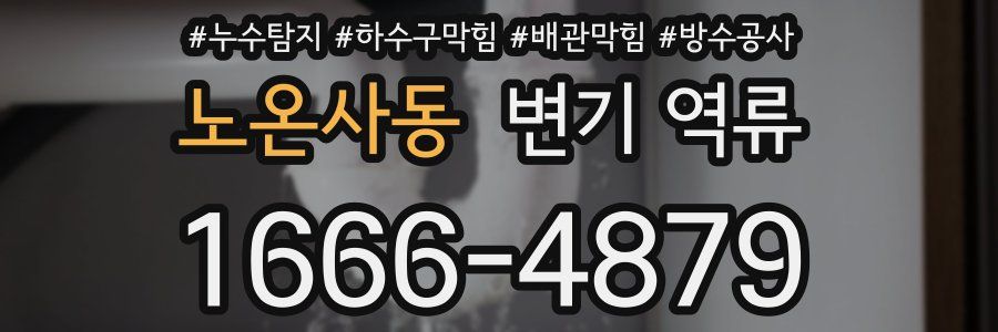 노온사동 변기 역류