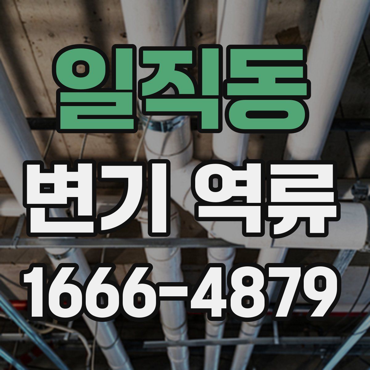 일직동 변기 역류