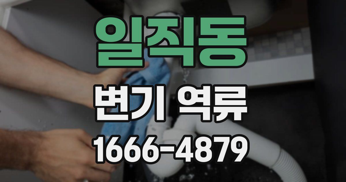 일직동 변기 역류