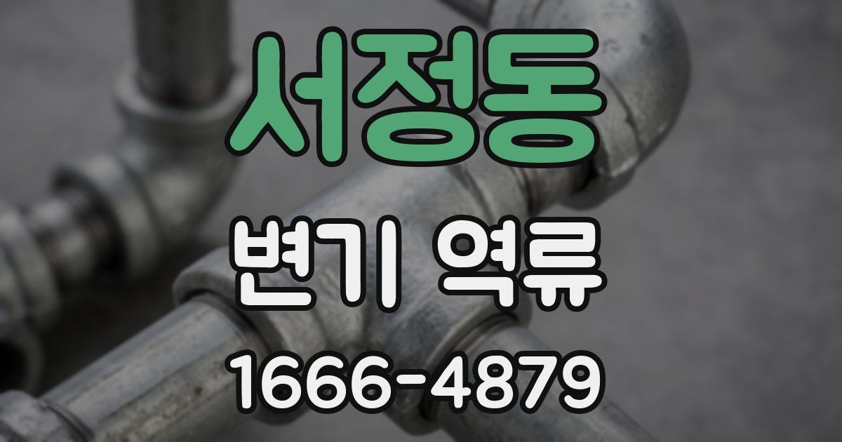 서정동 변기 역류