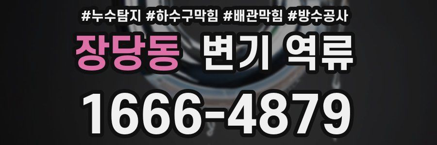 장당동 변기 역류