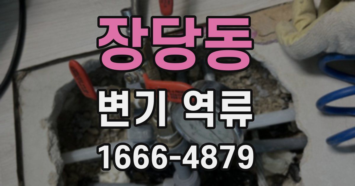 장당동 변기 역류