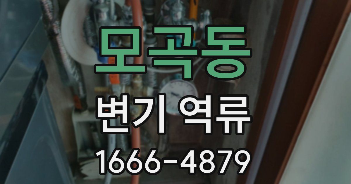 모곡동 변기 역류