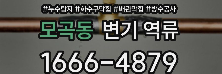 모곡동 변기 역류