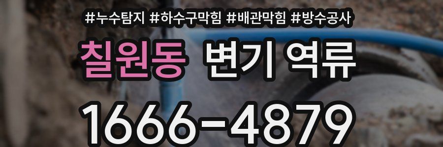 칠원동 변기 역류