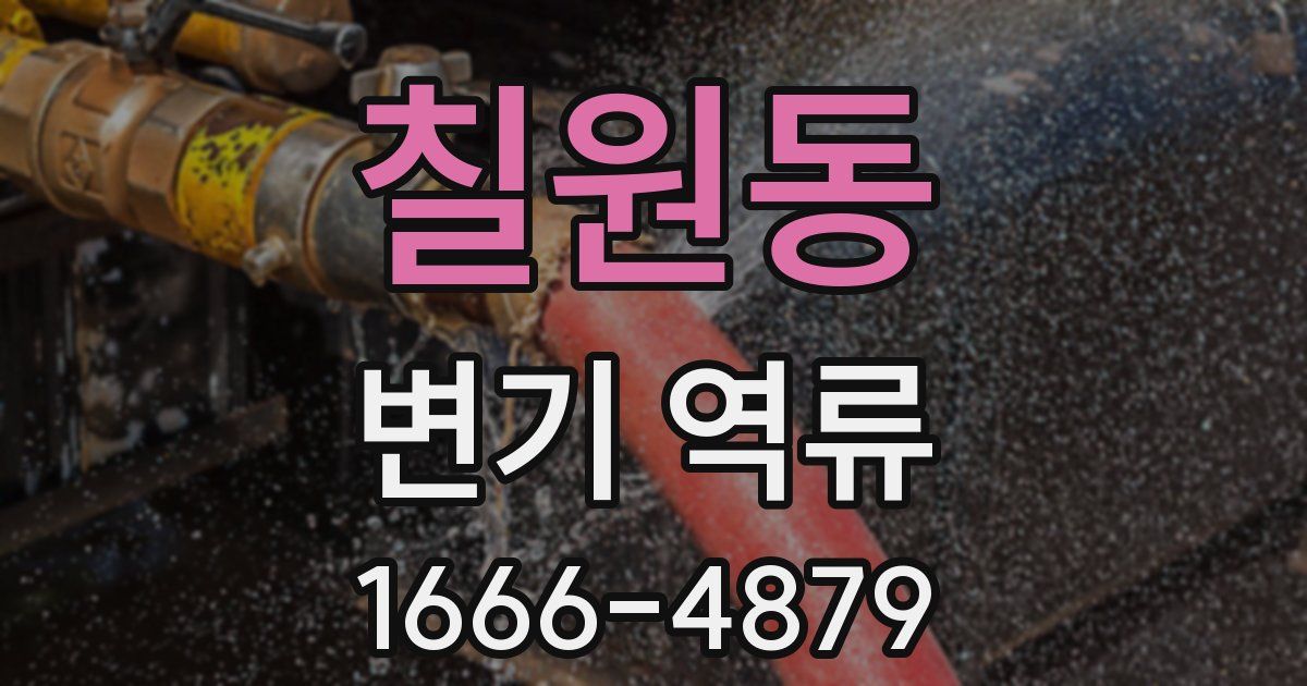 칠원동 변기 역류