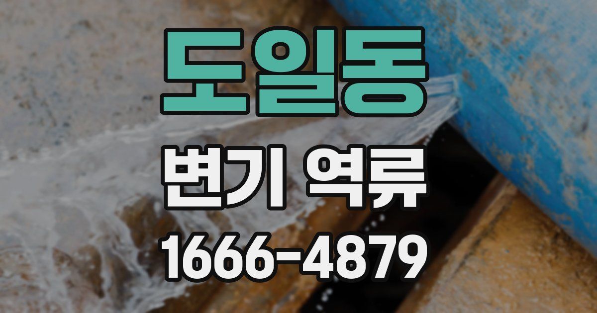 도일동 변기 역류