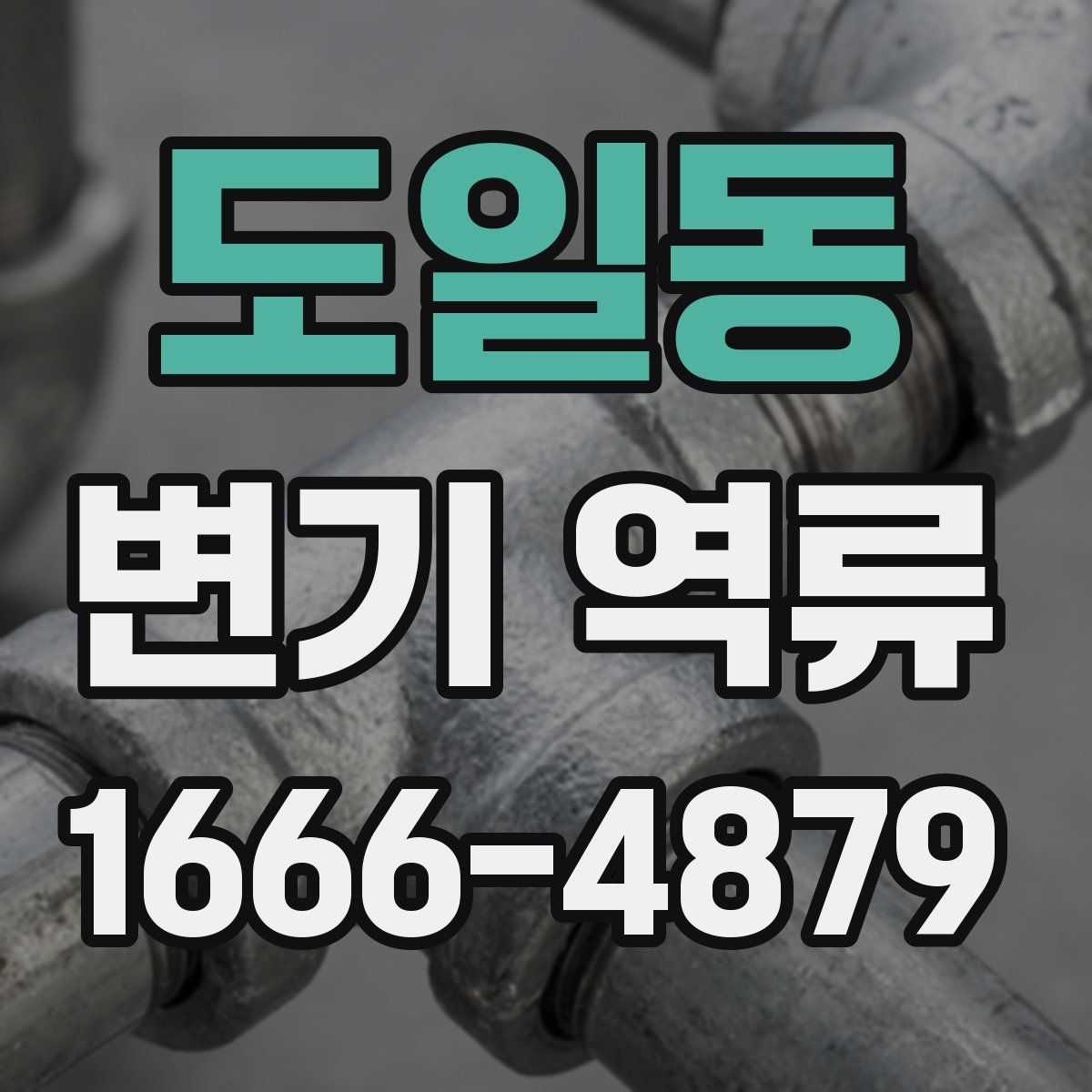 도일동 변기 역류