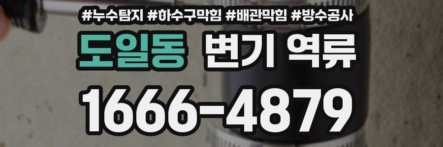 도일동 변기 역류