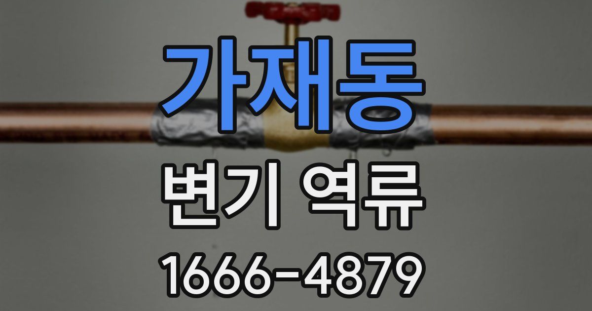 가재동 변기 역류