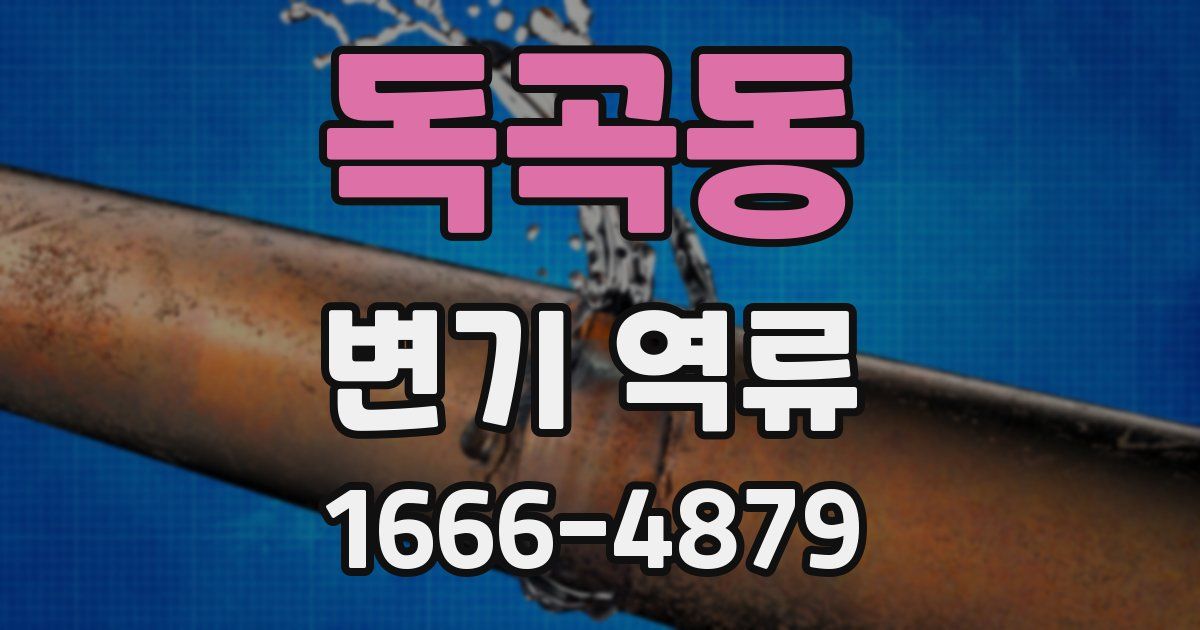 독곡동 변기 역류