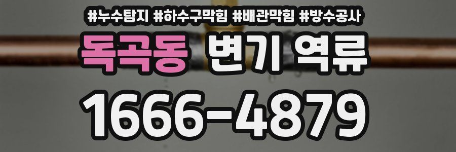 독곡동 변기 역류