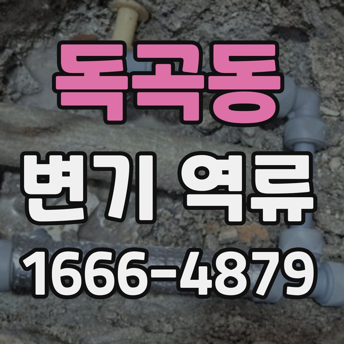 독곡동 변기 역류