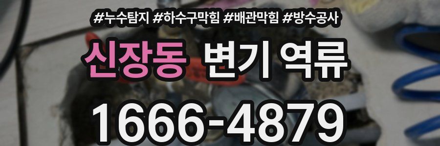 신장동 변기 역류