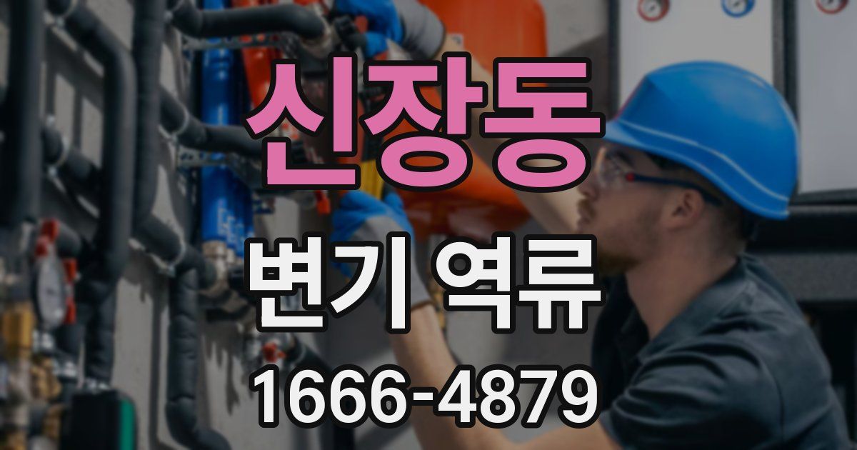 신장동 변기 역류