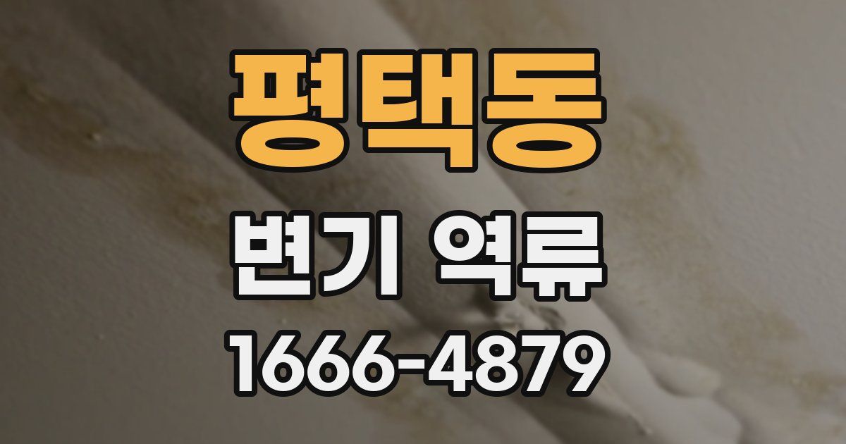 평택동 변기 역류
