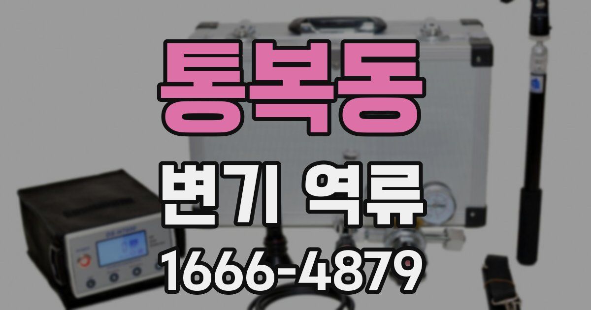 통복동 변기 역류
