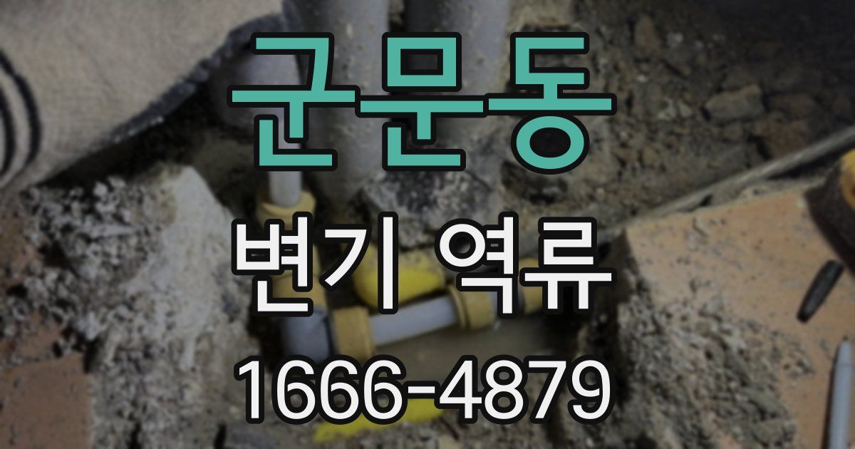 군문동 변기 역류