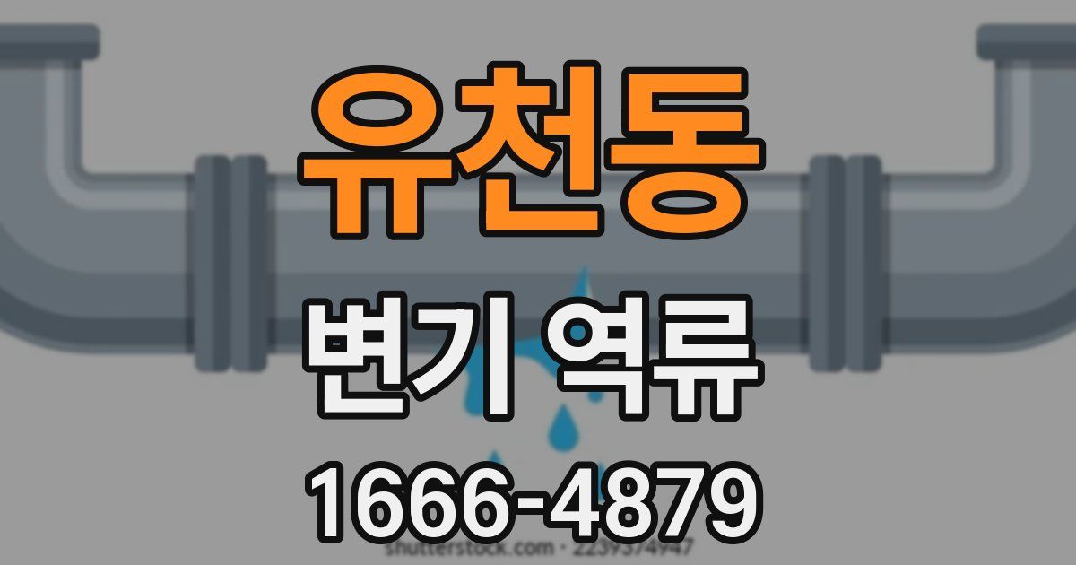 유천동 변기 역류