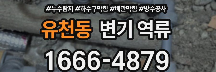 유천동 변기 역류