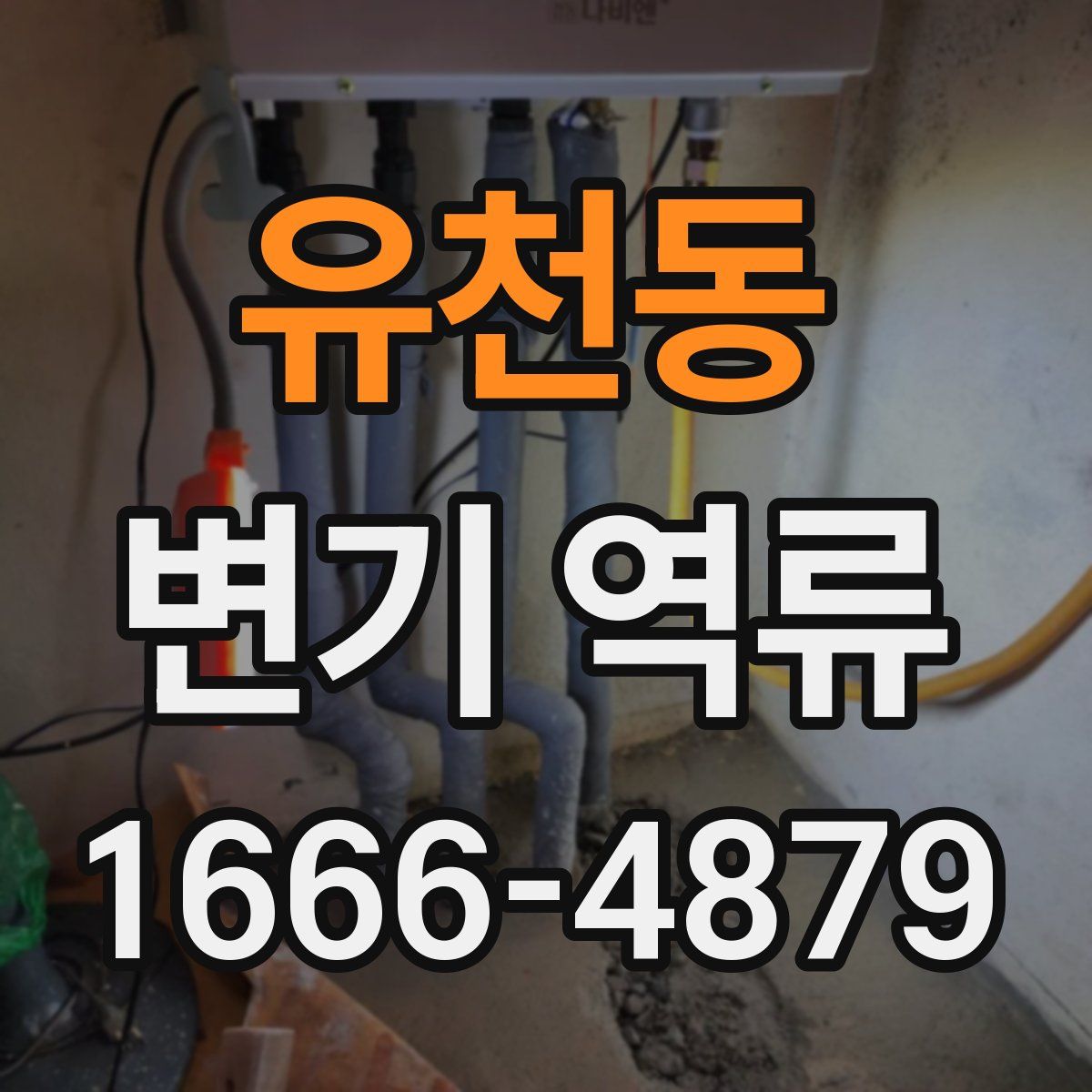 유천동 변기 역류