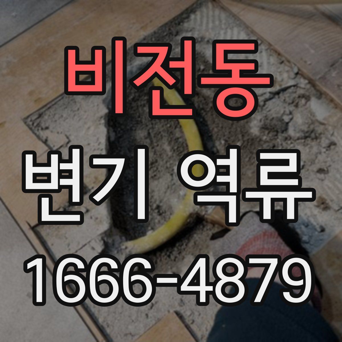 비전동 변기 역류