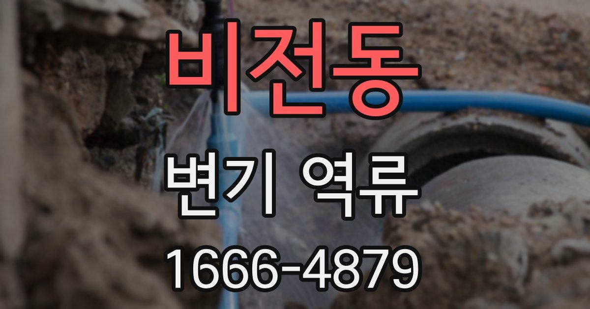 비전동 변기 역류
