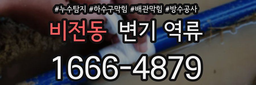 비전동 변기 역류