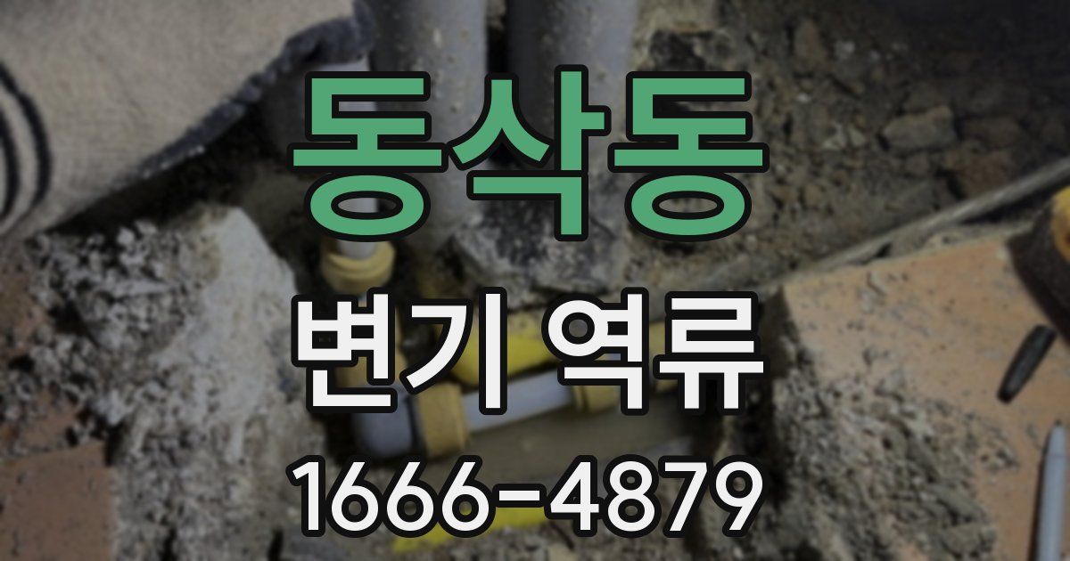 동삭동 변기 역류