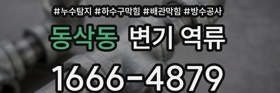동삭동 변기 역류