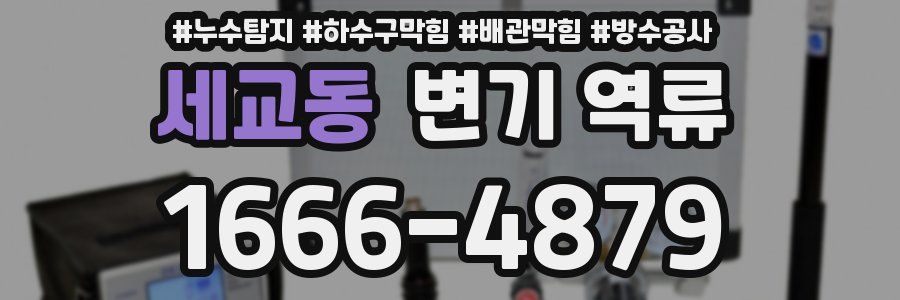세교동 변기 역류