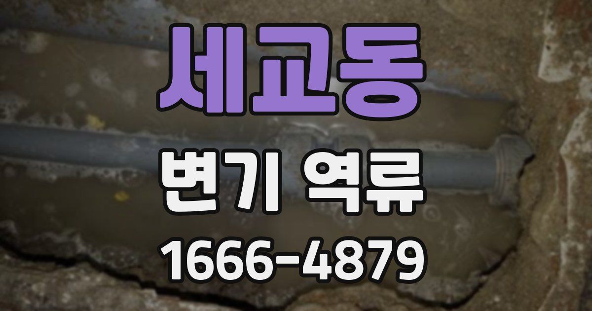 세교동 변기 역류