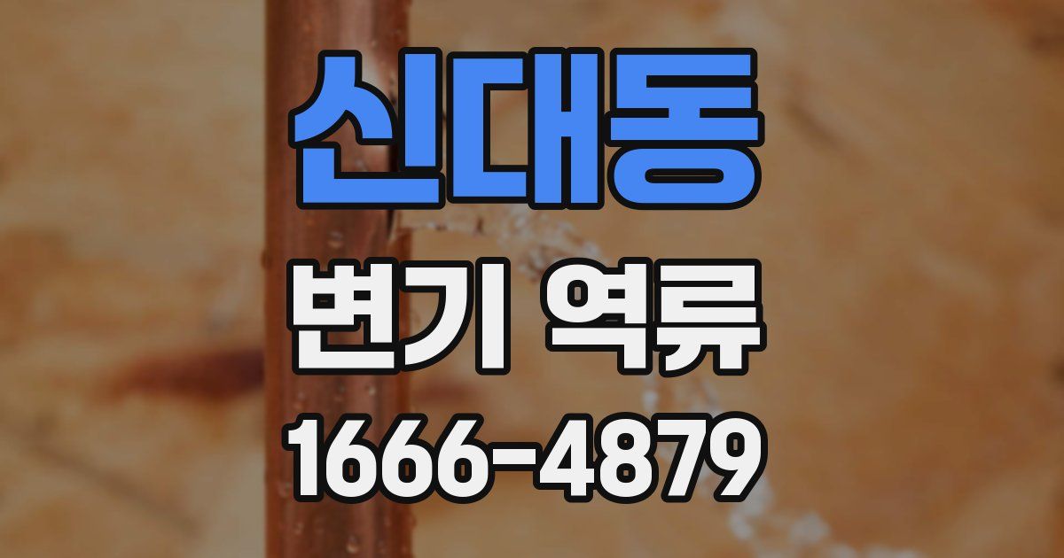 신대동 변기 역류