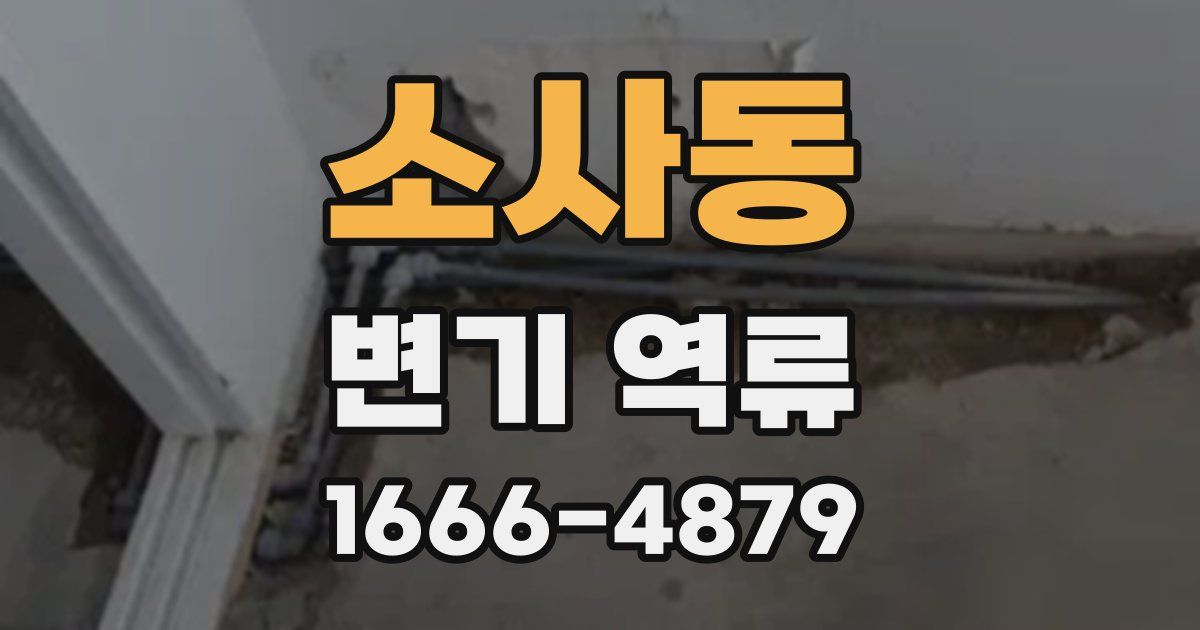 소사동 변기 역류