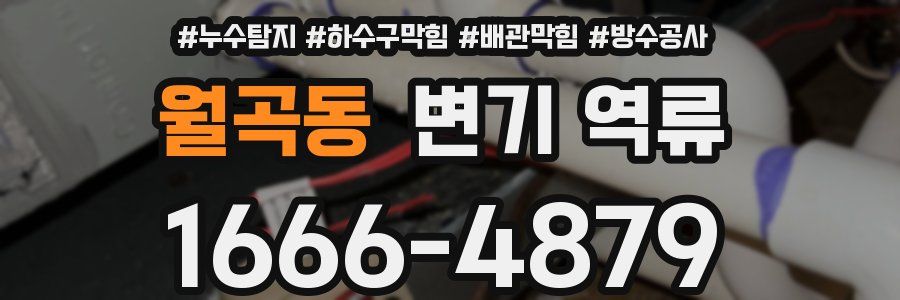 월곡동 변기 역류
