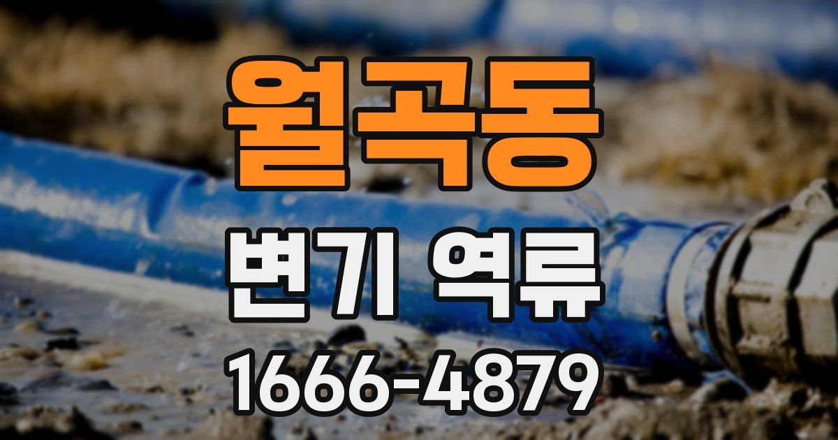 월곡동 변기 역류