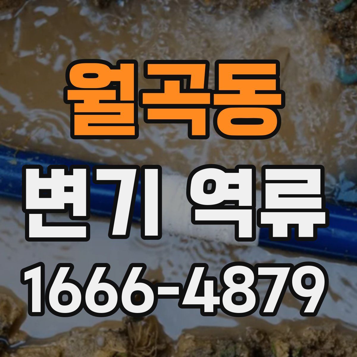 월곡동 변기 역류