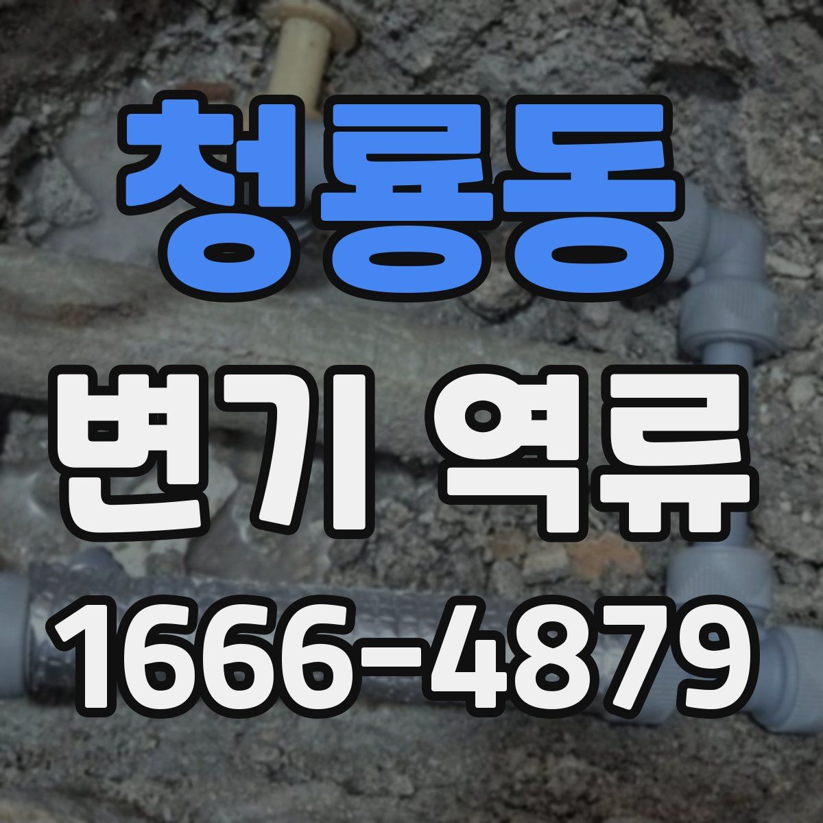 청룡동 변기 역류